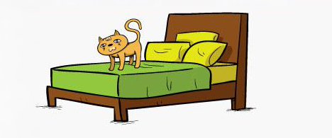 Eksempelbildet viser en katt som står på en seng